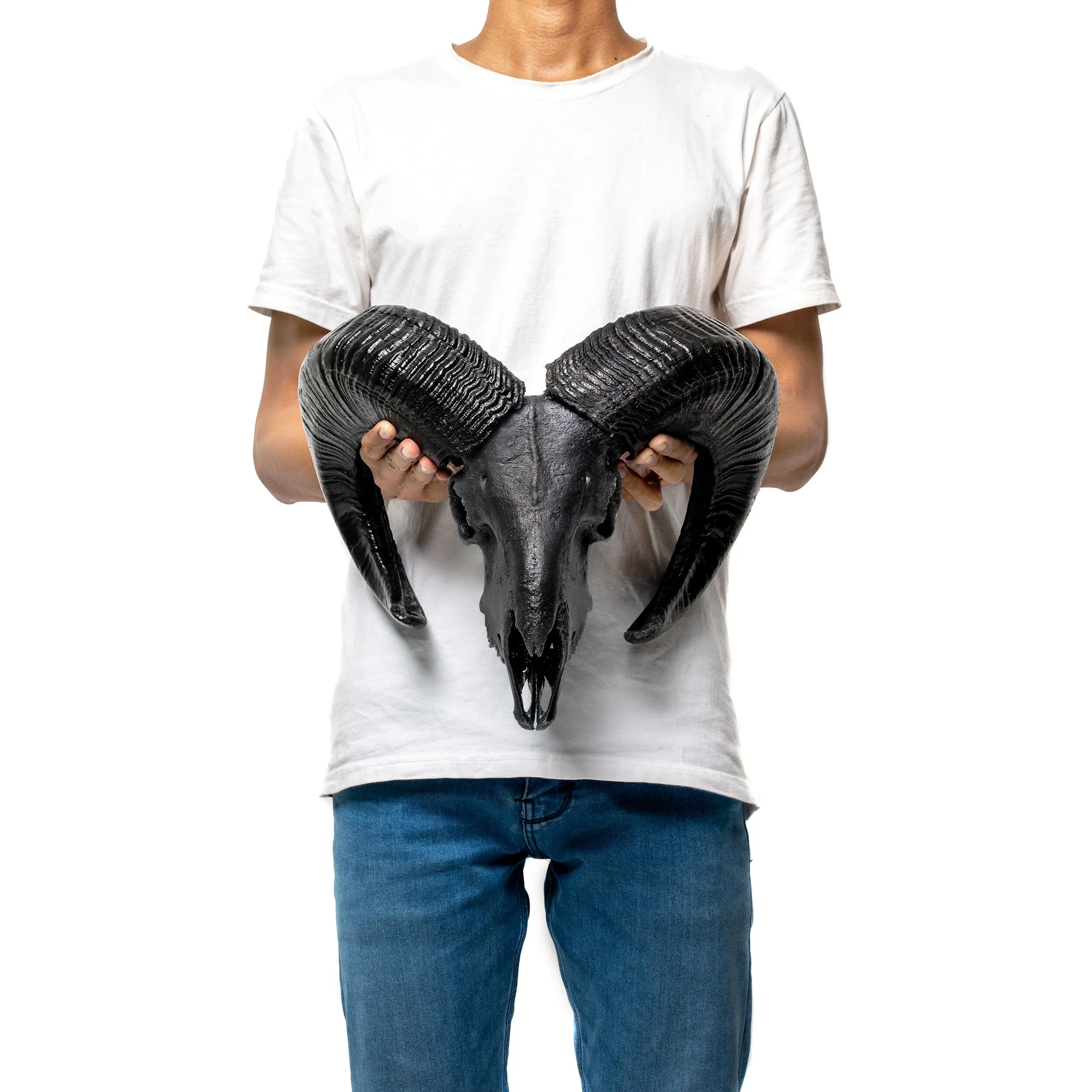 Ram Skull - Matte Black Storm