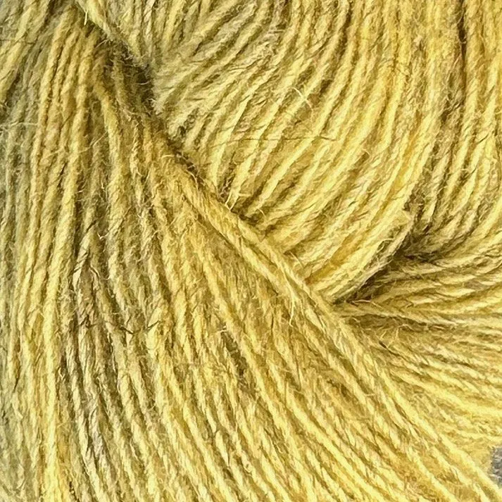 Spinni